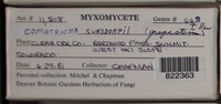 Image Associated With the Occurence